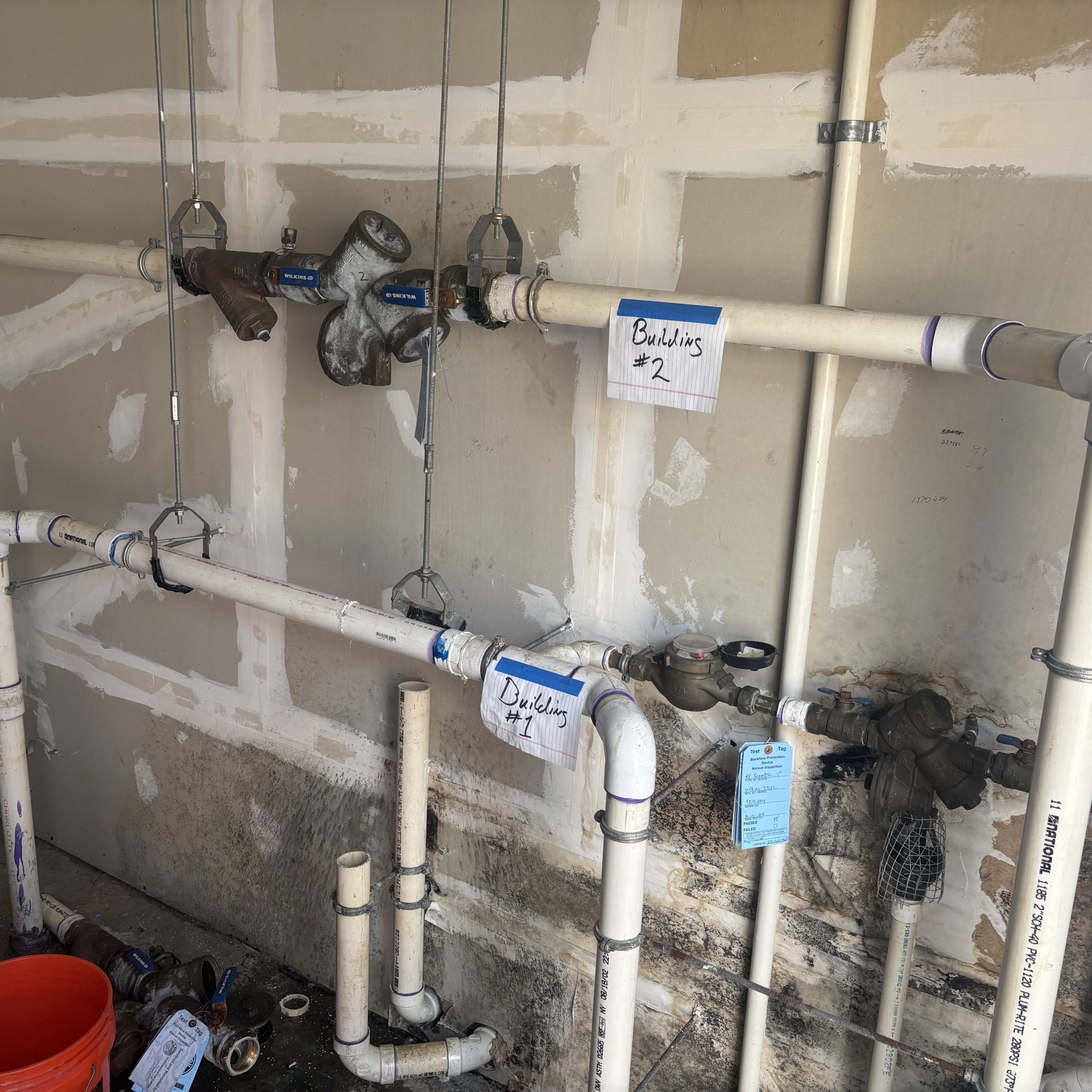 backflow before